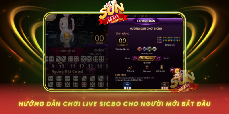 Huong Dan Choi Live Sicbo Cho Nguoi Moi Bat Dau