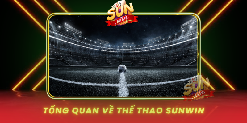 Tong Quan Ve The Thao Sunwin Va Suc Hut Voi Nguoi Choi0